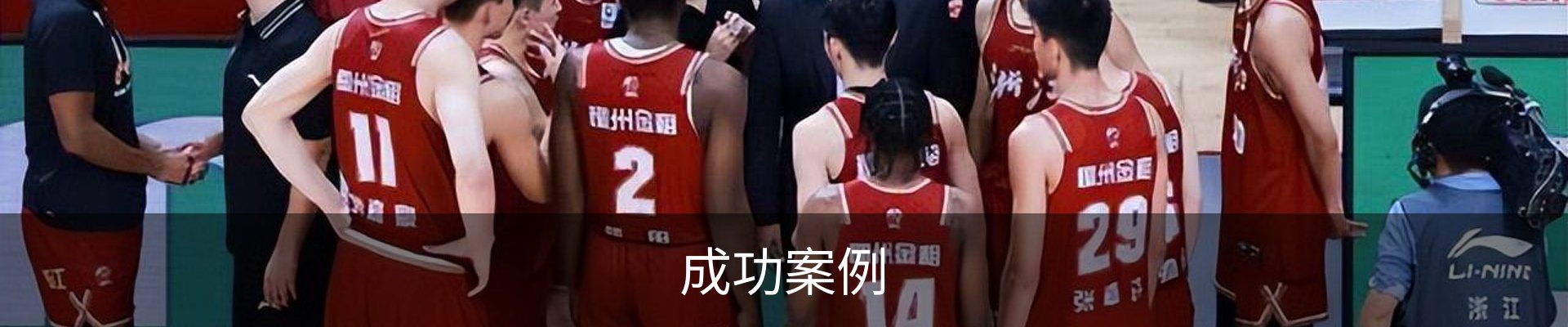 成功案例